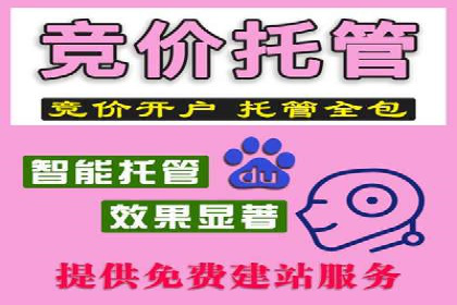 解析SEM推广代运营的优化技巧与策略